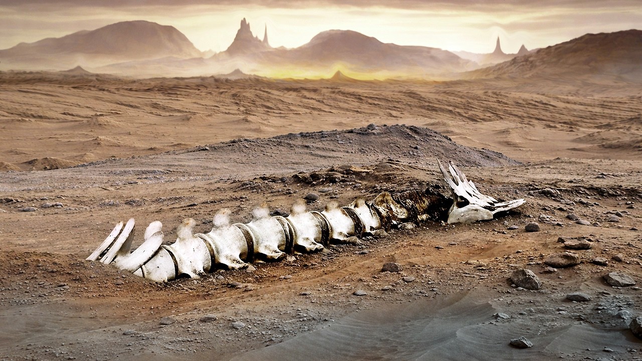 Первое Реальное Видео с Марса Сделанное Марсоходами