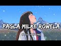 PAGLA Milke Rowela Slow Reverb Bhojpuri Lofy Song Shilpi Raj Song Com1100 Lofy Soul