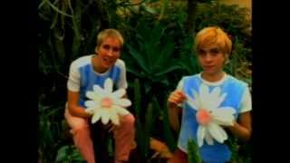 Aterciopelados - Florecita Rockera