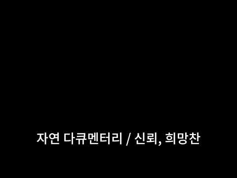 비디오 3