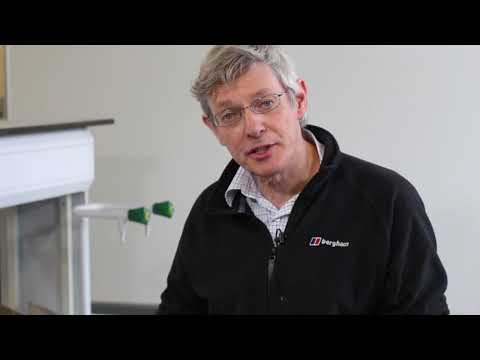 11 - Corrosion failures: crevice corrosion and pitting