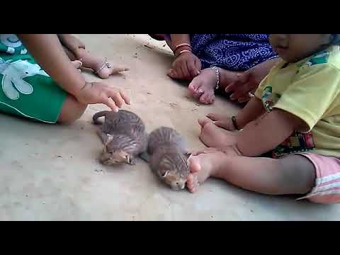 30 November 2017 sarthak vartika