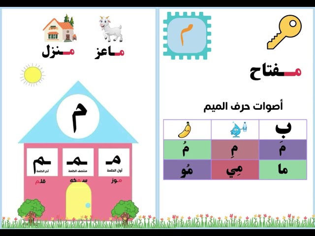 مطوية حرف م الصف الأول ابتدائي
