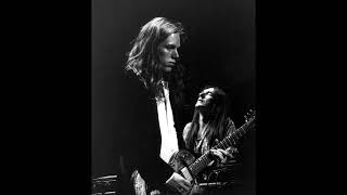 The Black Crowes - Feathers