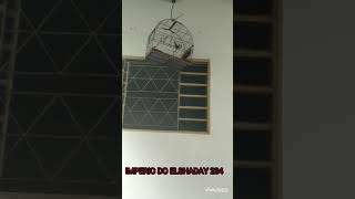 IMPERIO DO ELSHADAY 234