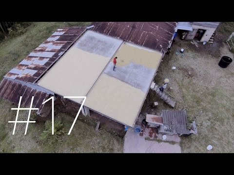 #17位 - コロンビア、フイラ。上から見たコーヒー農法! (#17 - Huila, Colombia. Coffee farming from above!)