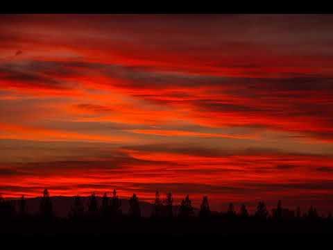 Ashley Wallbridge feat. Meighan Nealon - My Blood [2010] HQ