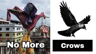 Make Scare Crow at Home | Get Rid of Crows