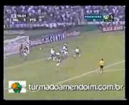 edmundo palmeiras 2006 buts animal