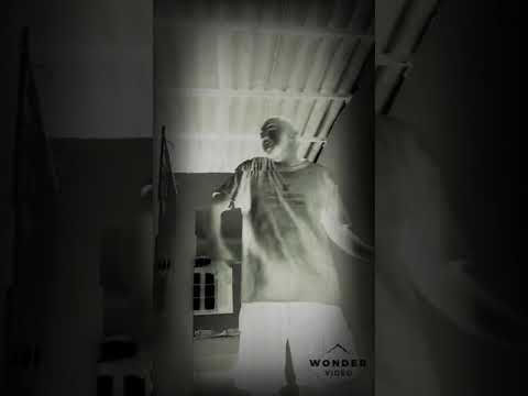 Du lado norte -previa dln show