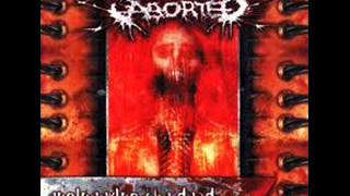 Aborted - Nailed Through Her Cunt