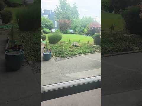 Arllis Arms Apartments - Video 2 of 2