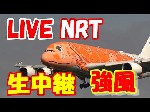 🔴LIVE at NARITA International Airport Plane Spotting　2026.06.04 成田空港ライブカメラ 成田空港　NRT/RJAA