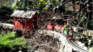 preview picture of video 'Holiday garden Railway 2011.m2ts'