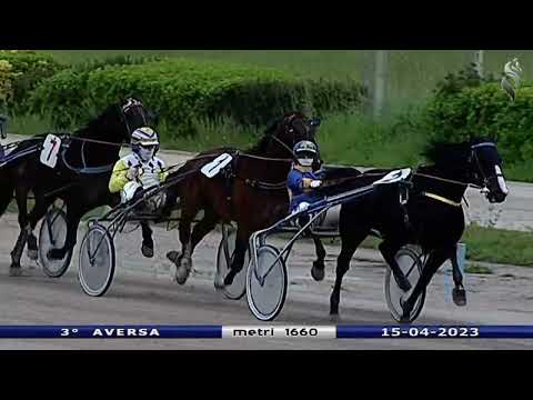 Aversa trotto 15 Aprile 2023 - 3° Corsa