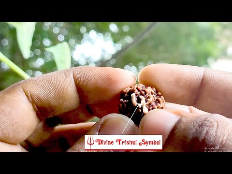 Nirankar Omkar Shiva Trishul Divine Symbol Supreme Brahma Parabrahman Nepal Rudraksha video