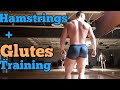 Grow your glutes|2 great exercises for a BIG BUTT and hamstrings