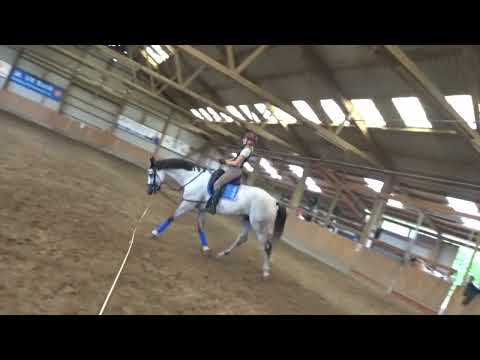 Sitzschulung beim reiten im Schritt, Trab und Galopp