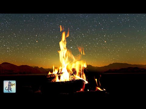 Cozy Campfire ???? Relaxing Fireplace Sounds ???? Burning Fireplace & Crackling Fire Sounds (NO MUSIC)