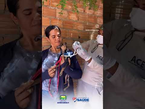 PROGRAMA DE ENCOLEIRAMENTO CANINO 2025 - Antônio Almeida Pi