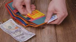 Яскравий гаманець для дівчат із натуральної шкіри ST Leather 22498 різнокольоровий