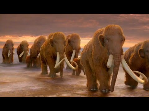 Ice Age Giants BBC [2013] - Woolly Mammoth Screen Time