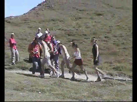 Chamonix.net Ultra Trail du Mont Blanc 2008