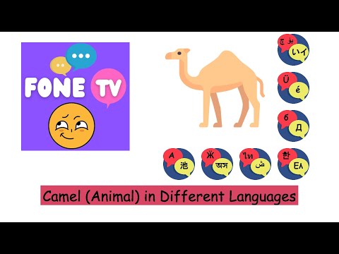 Camel (Animal) in Different Languages