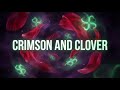 Crimson And Clover Dance Remix LyraFizz