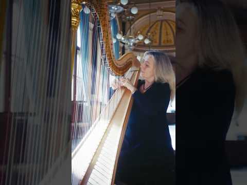 Každý někdy šlápne vedle. Jana Boušková ale jen když předvádí, jak nehrát na harfu. ❌