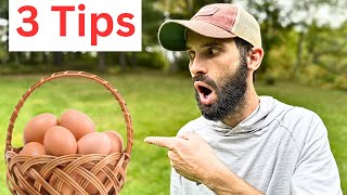 Why You Aren't Getting Many Eggs from Your Chickens