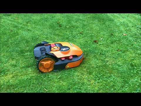 Roby - WORX Landroid Mährobotor - Produkttest