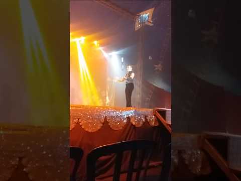 🤹‍♂️MALABARISTA CIRCO TORRICCELI🤹‍♂️ #circo #viralvideo #uniaodavitoria #portouniao #2026