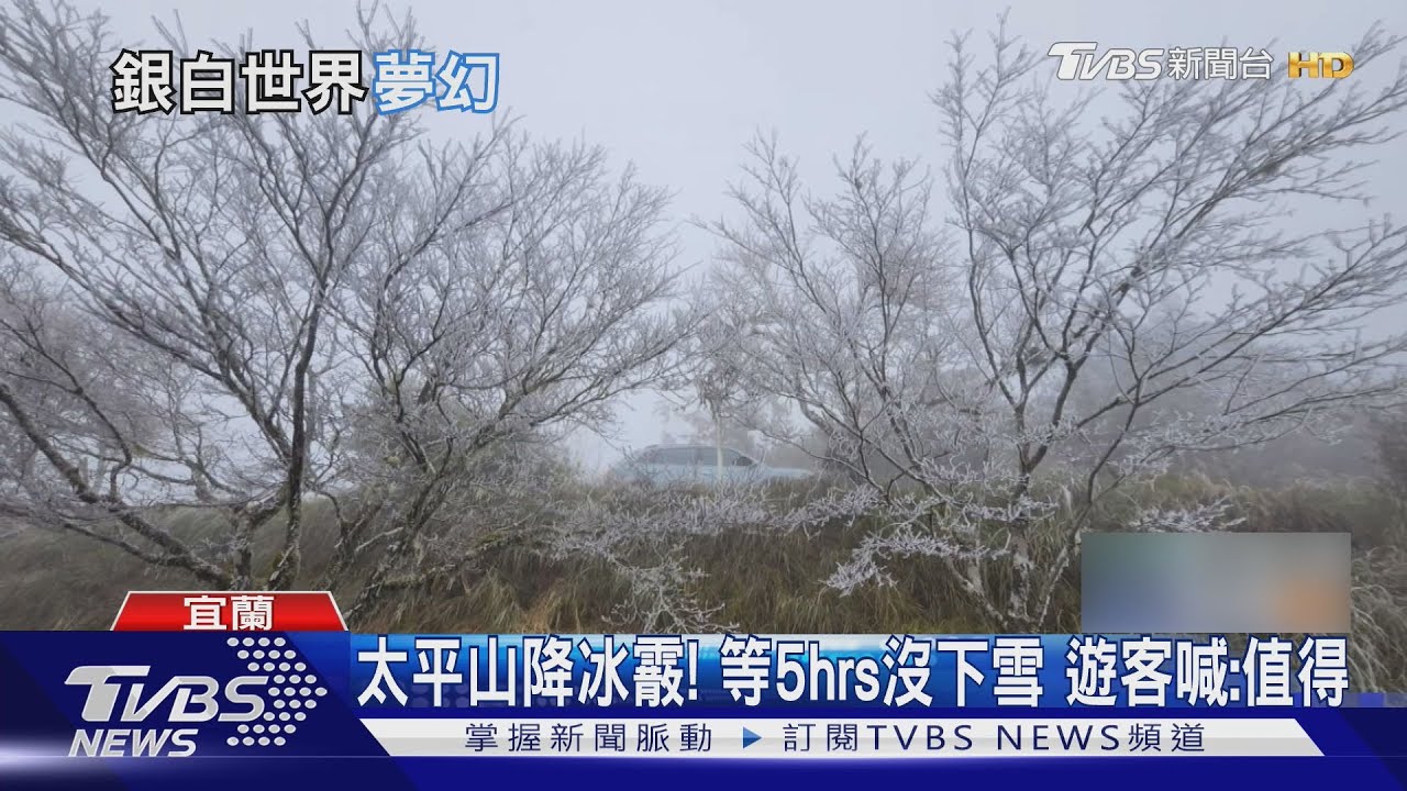 太平山終於降冰霰!遊客苦等5小時 霧淞銀白世界美如童話