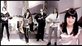 Rose Garden   1967  -   Next Plane To London   (Stereo Mixed) Betamax