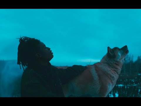 TAPZ - Run Don't Run (Official Video)