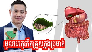 មូលហេតុកើតគ្រួសក្នុងប្រមាត់ | លោក លី ប៉េងតែ