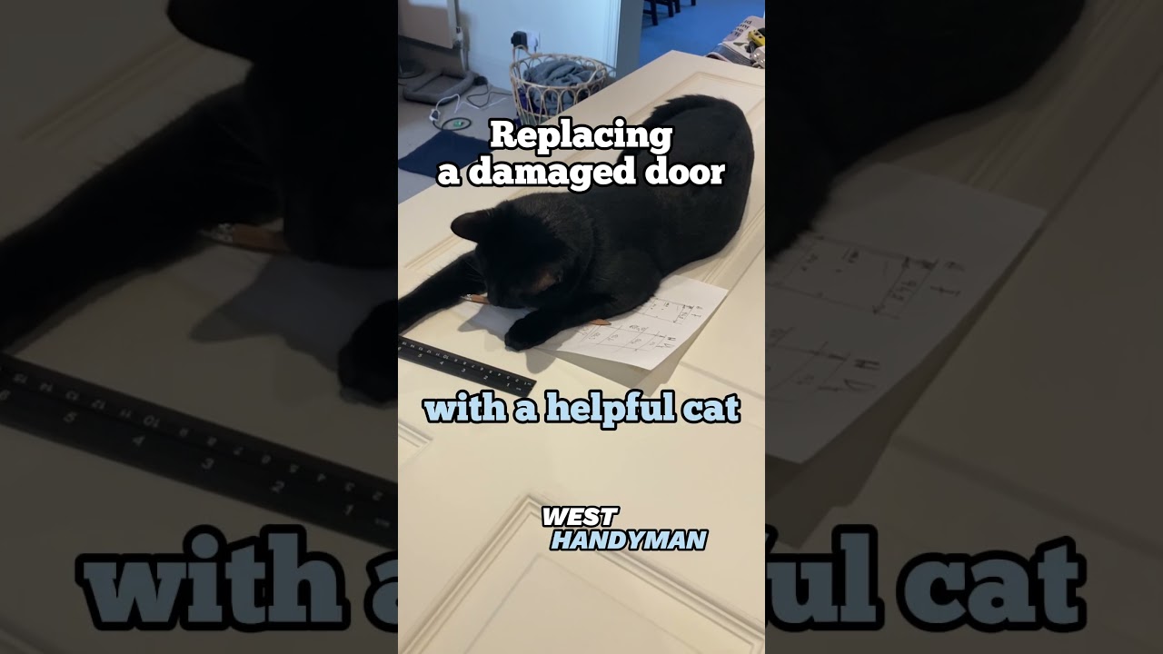 Replacing a damaged door