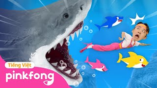 Chạy mau! Cá mập kìa! 🦈 Chơi đùa cùng Hoi | cartoon | Baby Shark Cá Mập Con Pinkfong Nhạc thiếu nhi