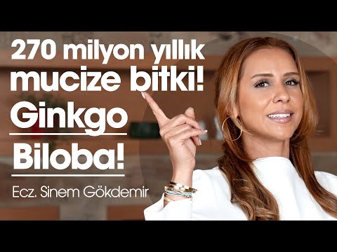 Ginkgo Biloba: A 270-Million-Year-Old Miracle Plant