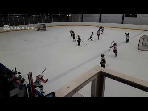 Tappara U8 Bruins - Ilves Boston