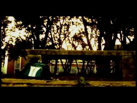 Top 10 Dancer's [Free STEP] ATUALIDADE