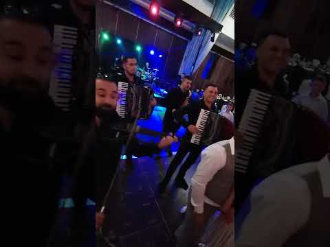 Ma 5 show band, svadba Gastro Globus