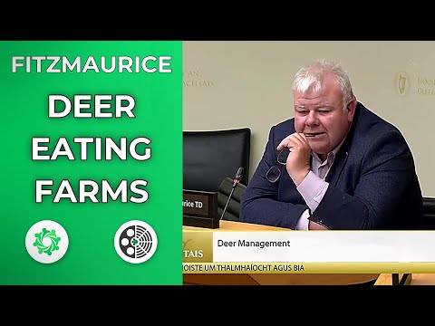 Michael Fitzmaurice demands action on deer damage in Galway