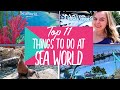 SeaWorld Orlando Tour In 2021 BEST Rides Shows And Dining Vlog