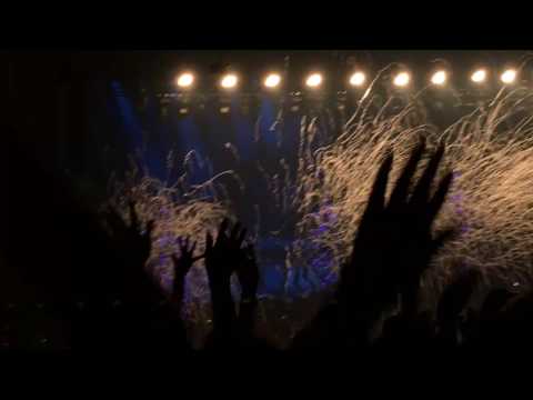 Blood Sweat & Tears - BTS Wings Tour in Brazil