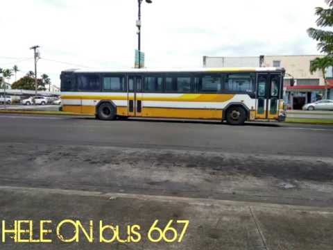 Hele On Bus 667