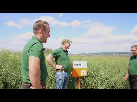 KWS Mais-Blog Teil 20 (Raps-Feldtagsmovie-Ankündigung)