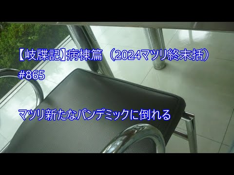 脳: この豆粒ほどの領域はあなたが思っているよりも重要です – 常に必要となります