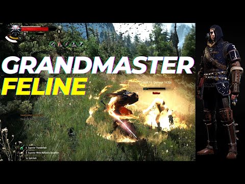 The Witcher 3: 100% Combat Build | Bloodbath